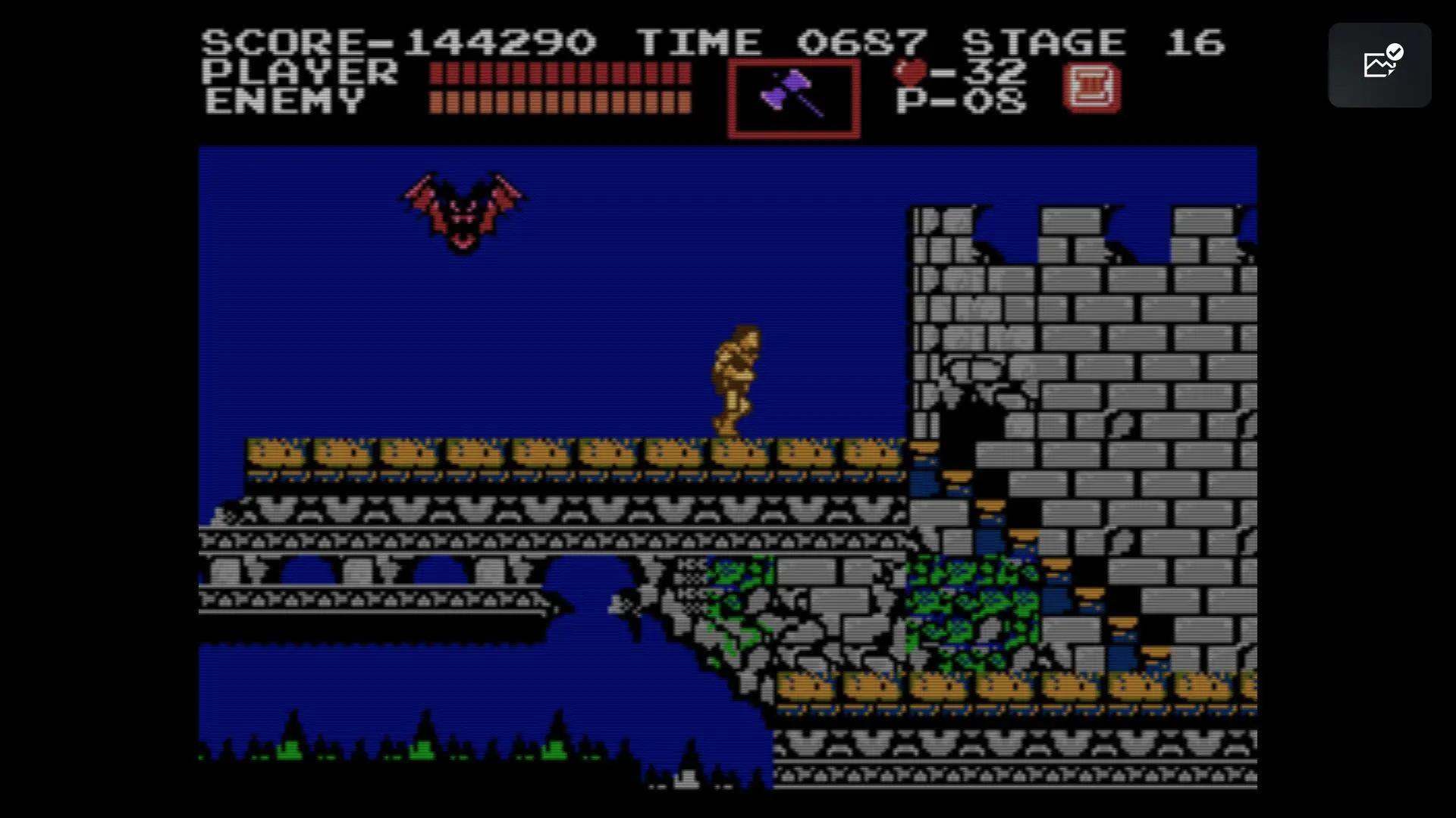 Castlevania nietoperz goni