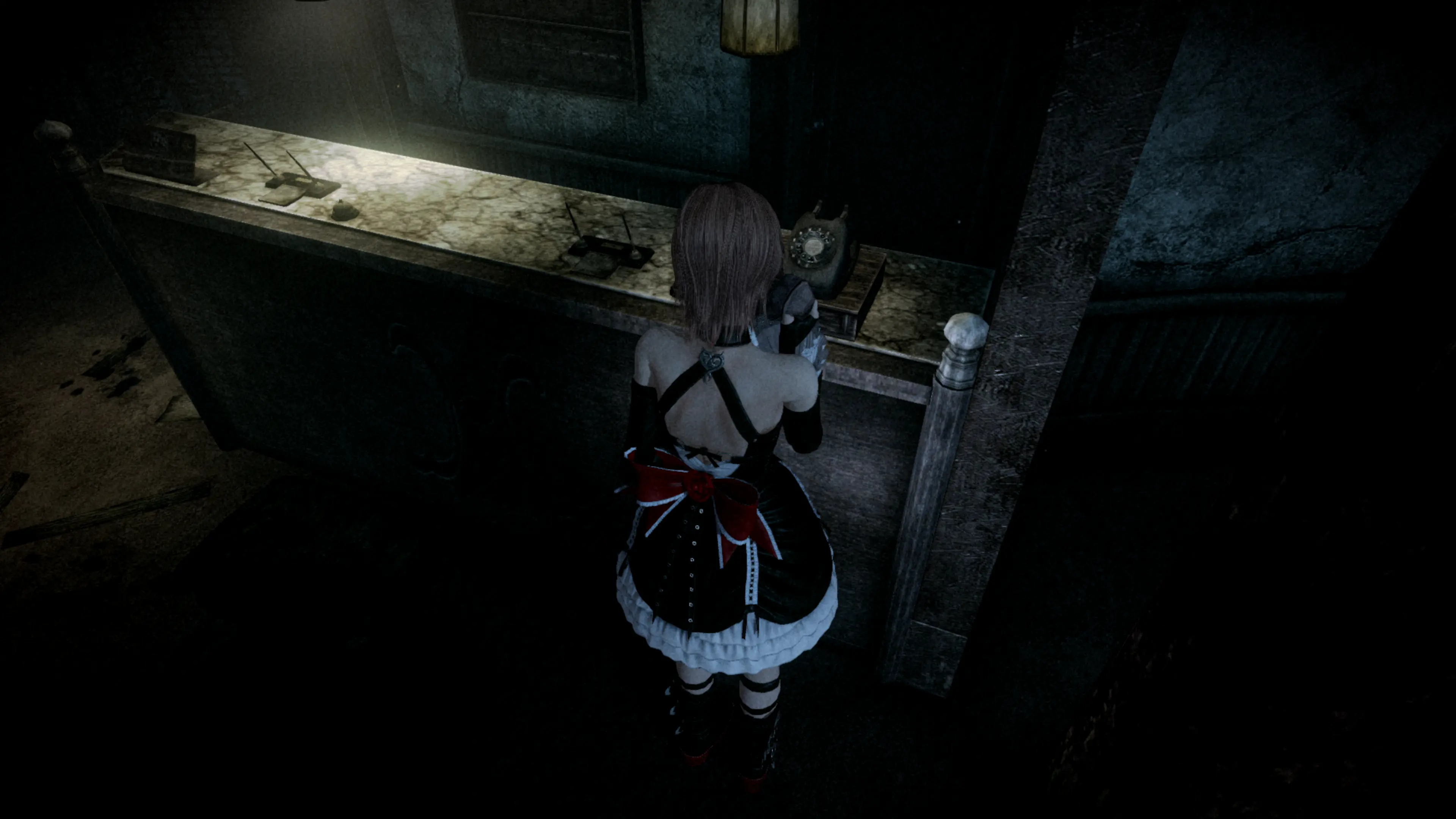 Lunar Eclipse - pani patrzy