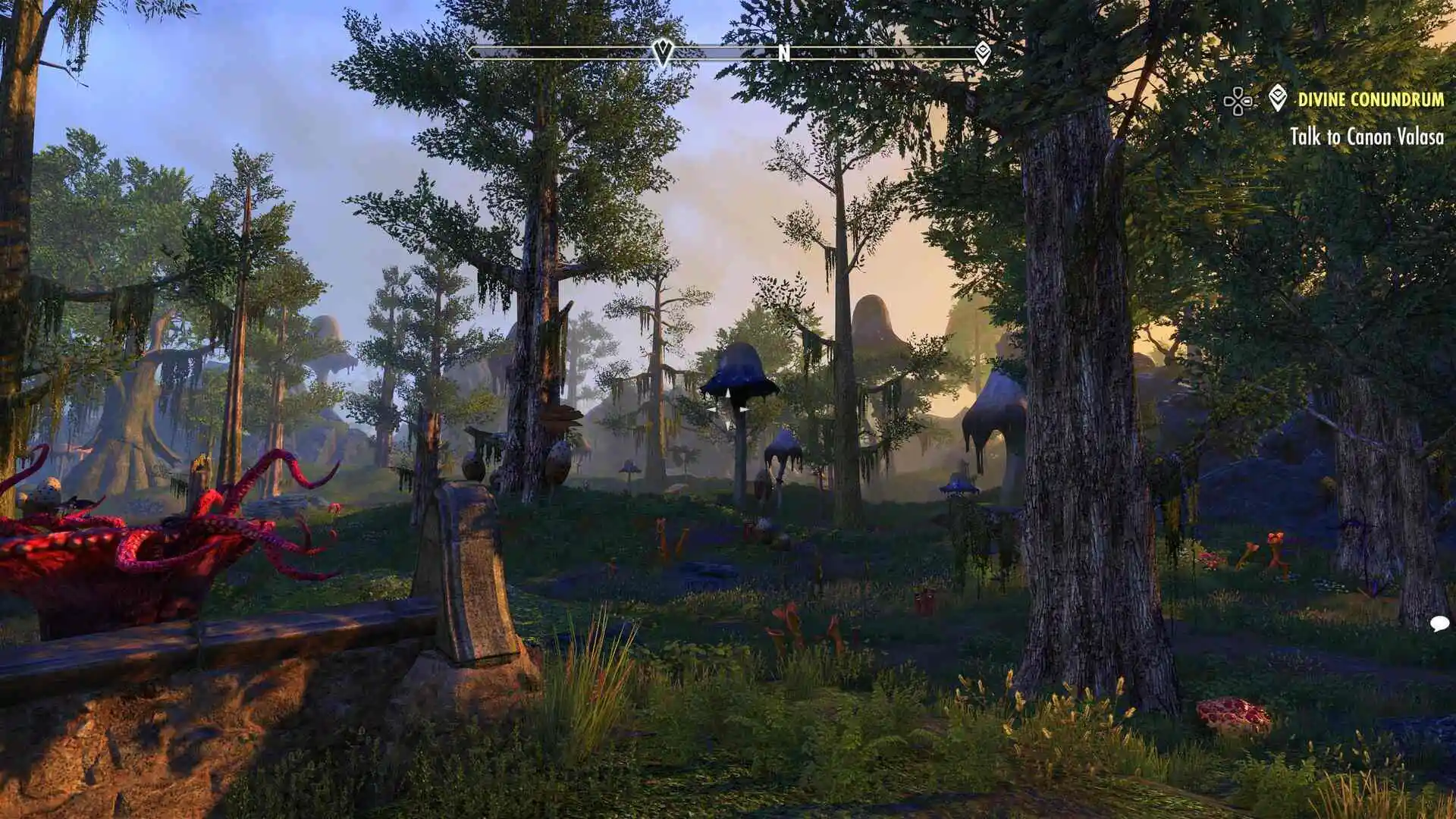 Morrowind - mniejsze grzyby