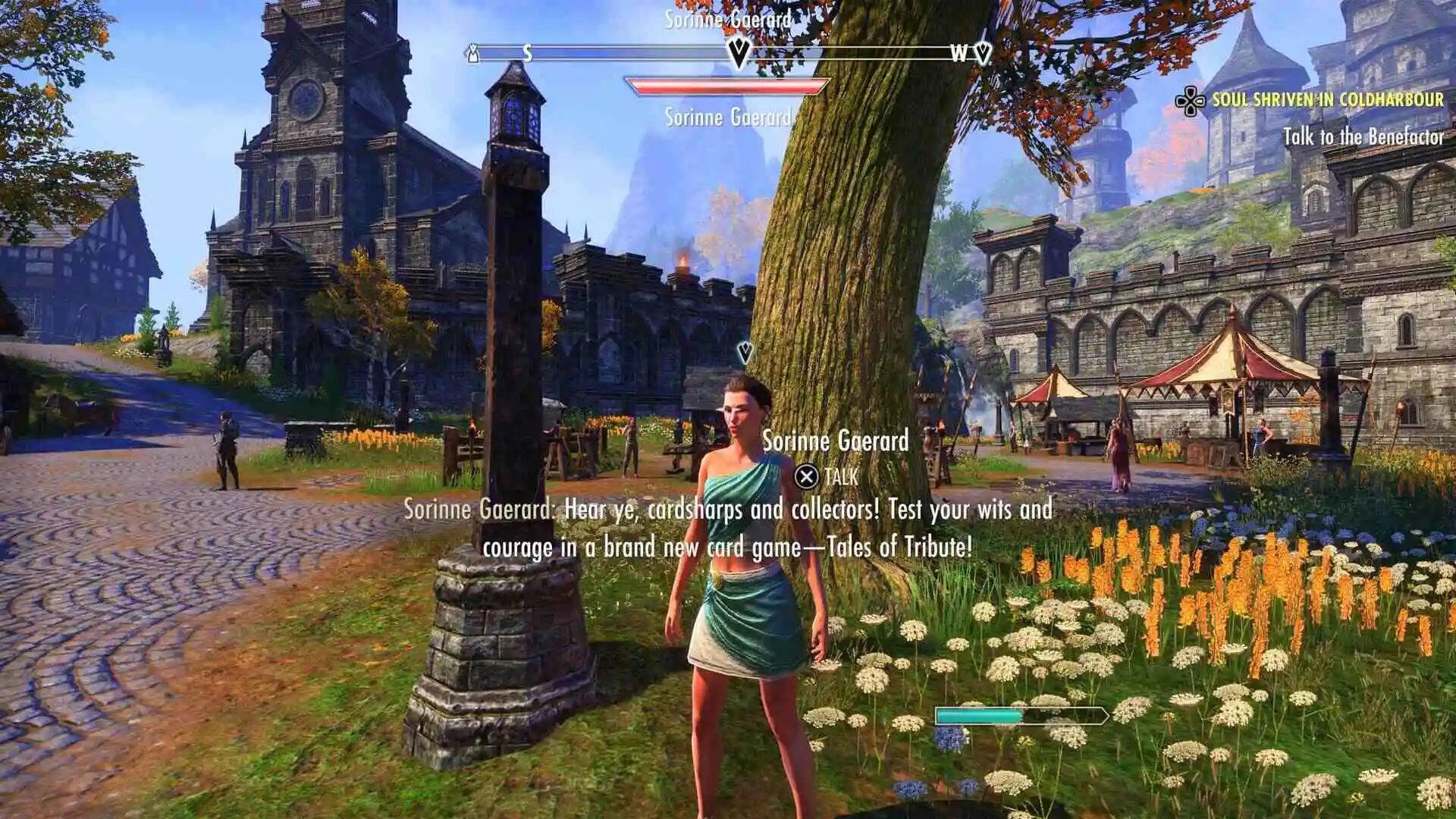 The Elder Scrolls Online - pani pod latarnią