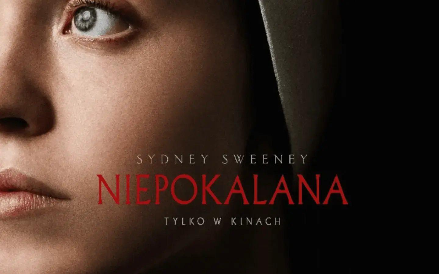 Horror NIepokalana — plakat z tytułem filmu