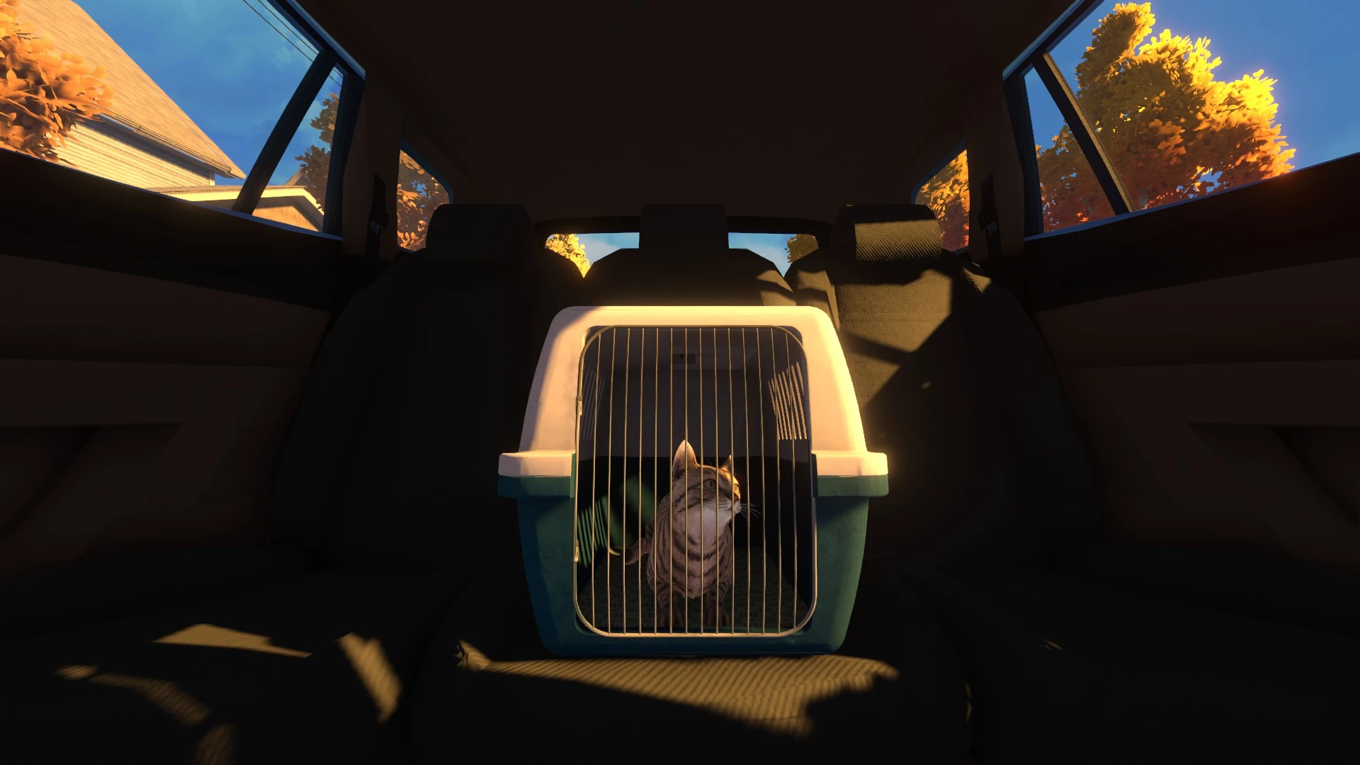 Copycat - siedzenie w kontenerku