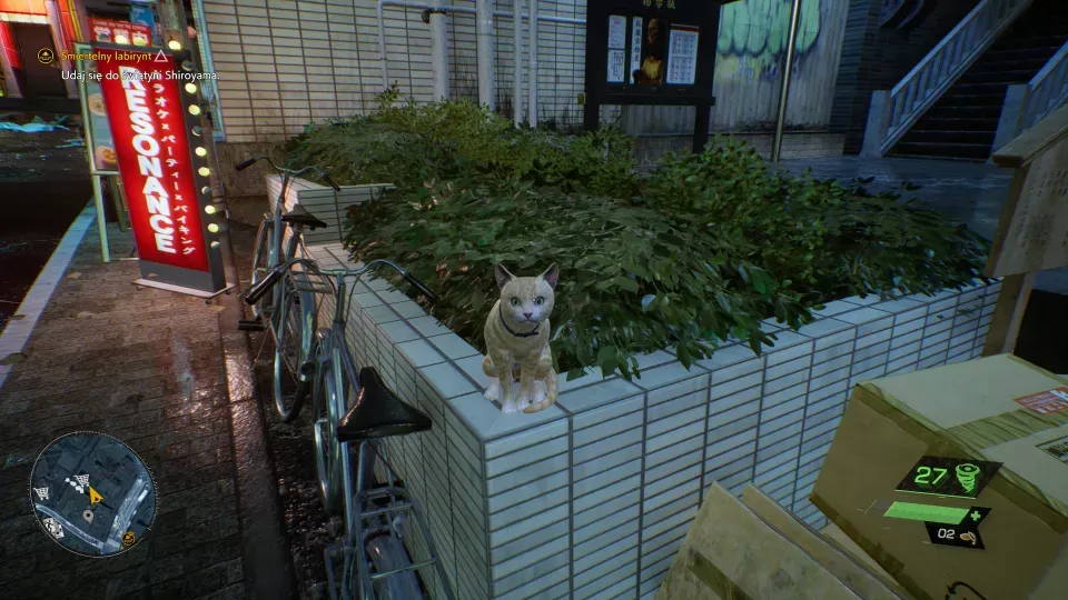 02.05.2023_20-31-25-pywqnheb