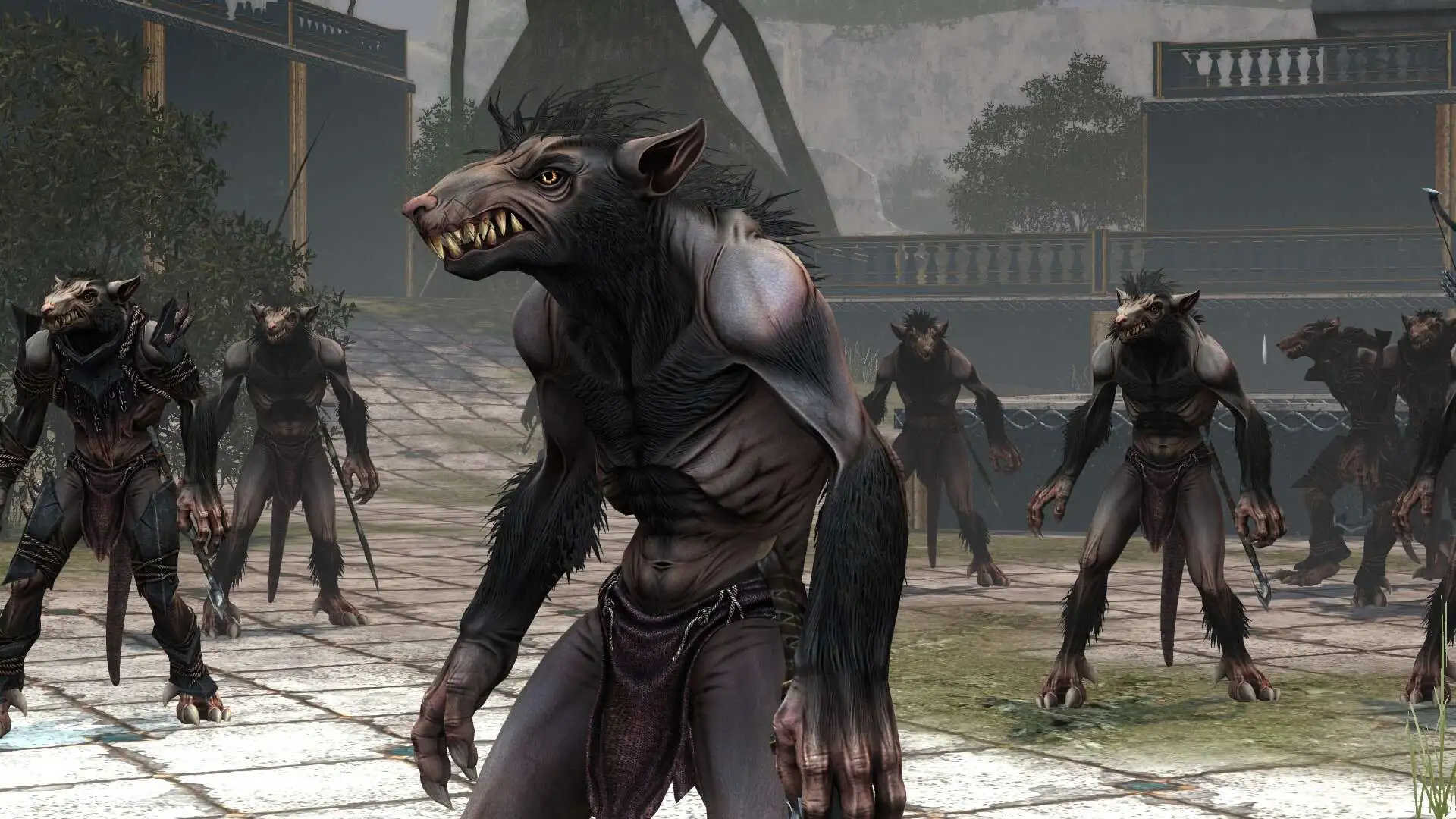 Shattered Embrace - szczurołak