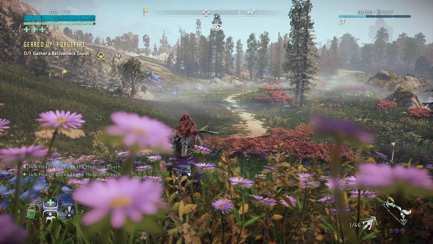 Widok na zieloną r&oacute;wninę pełną trawy, zarośli oraz drzew w tle.