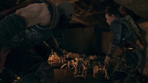 Galeria-1.1-zdjecie-3