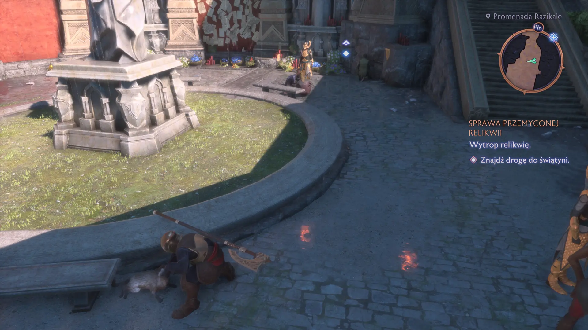 Dragon Age: Straż Zasłony - kotek