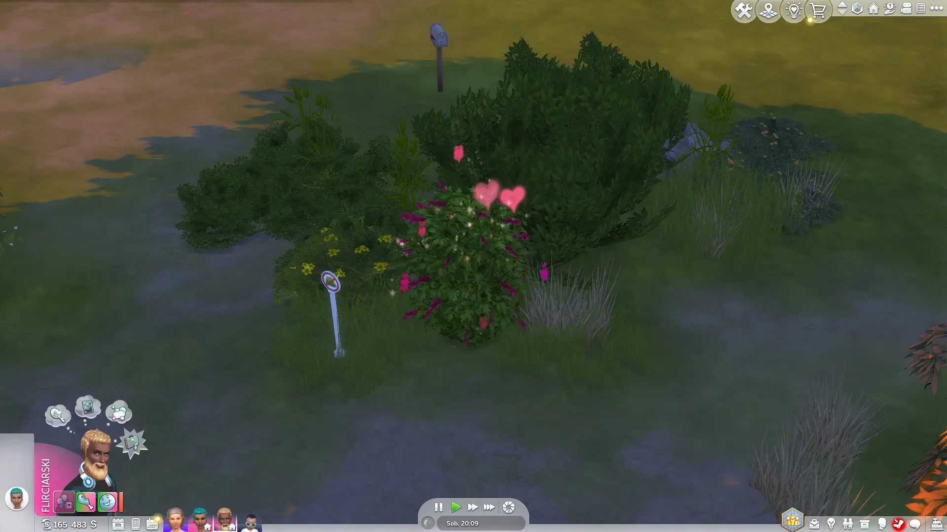 Spotkajmy się - cimcirimci w krzakach