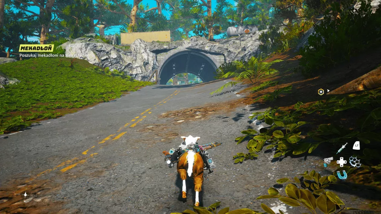 Kiedyś tędy jeździły auta...