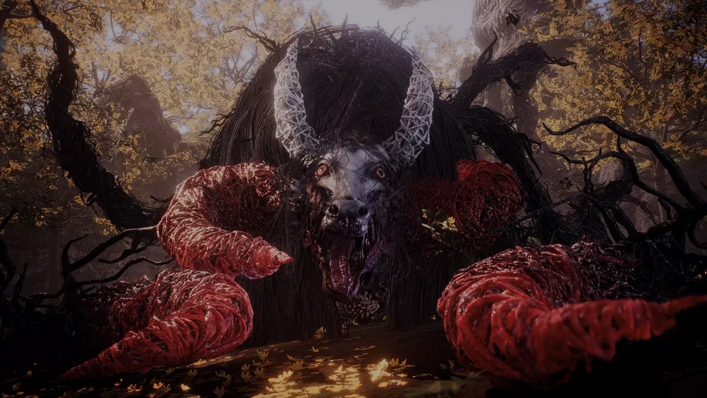 Tak się kończy denerwowanie kr&oacute;w. Diablo uczy