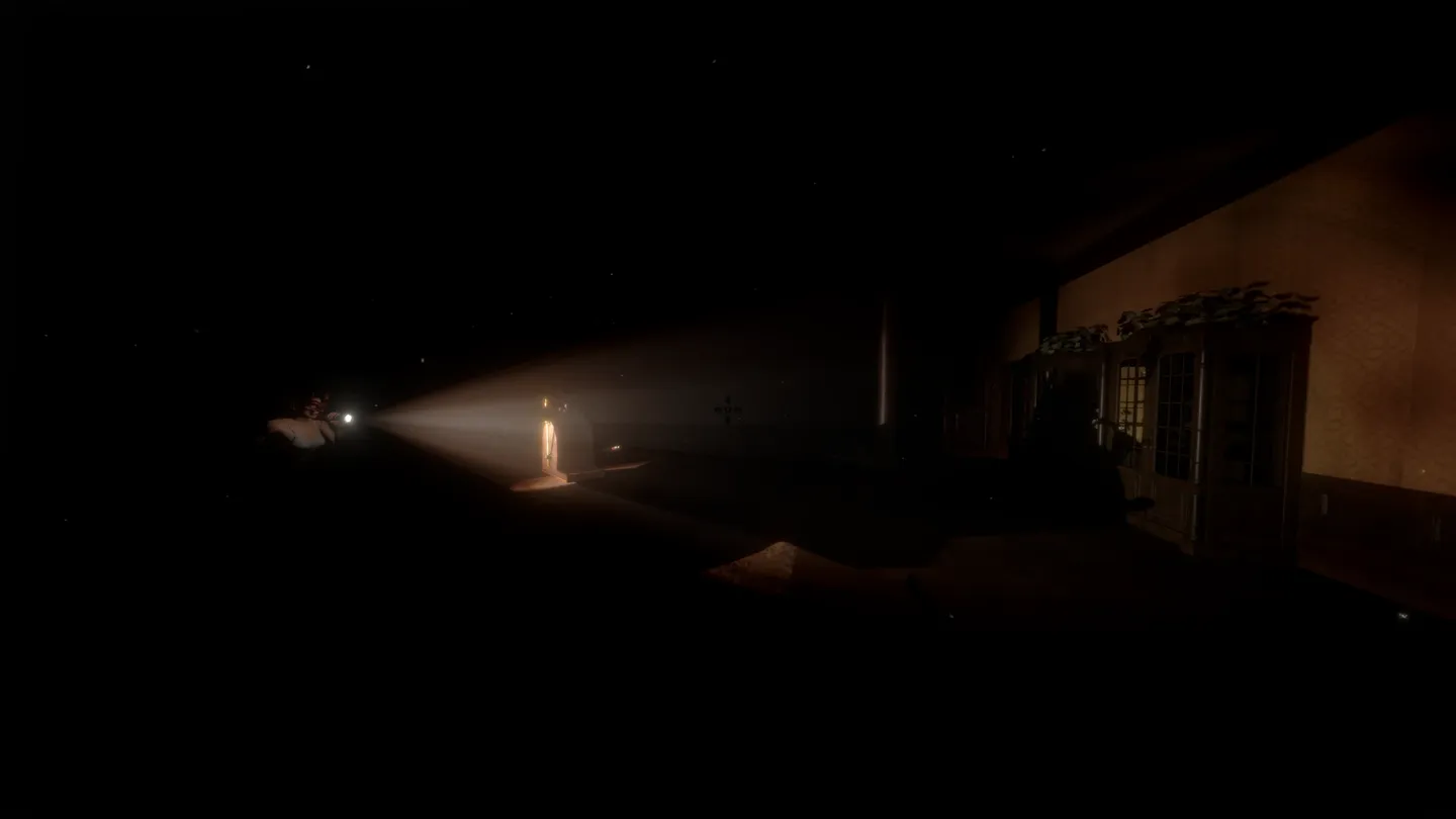 Trzeci obraz przedstawia ciemny pok&oacute;j z rozświetloną postacią stojącą w drzwiach i snopem światła latarki skierowanym w jej stronę; reszta pomieszczenia pogrążona w głębokim cieniu, a w prawym dolnym rogu widoczny jest fragment interfejsu gry.