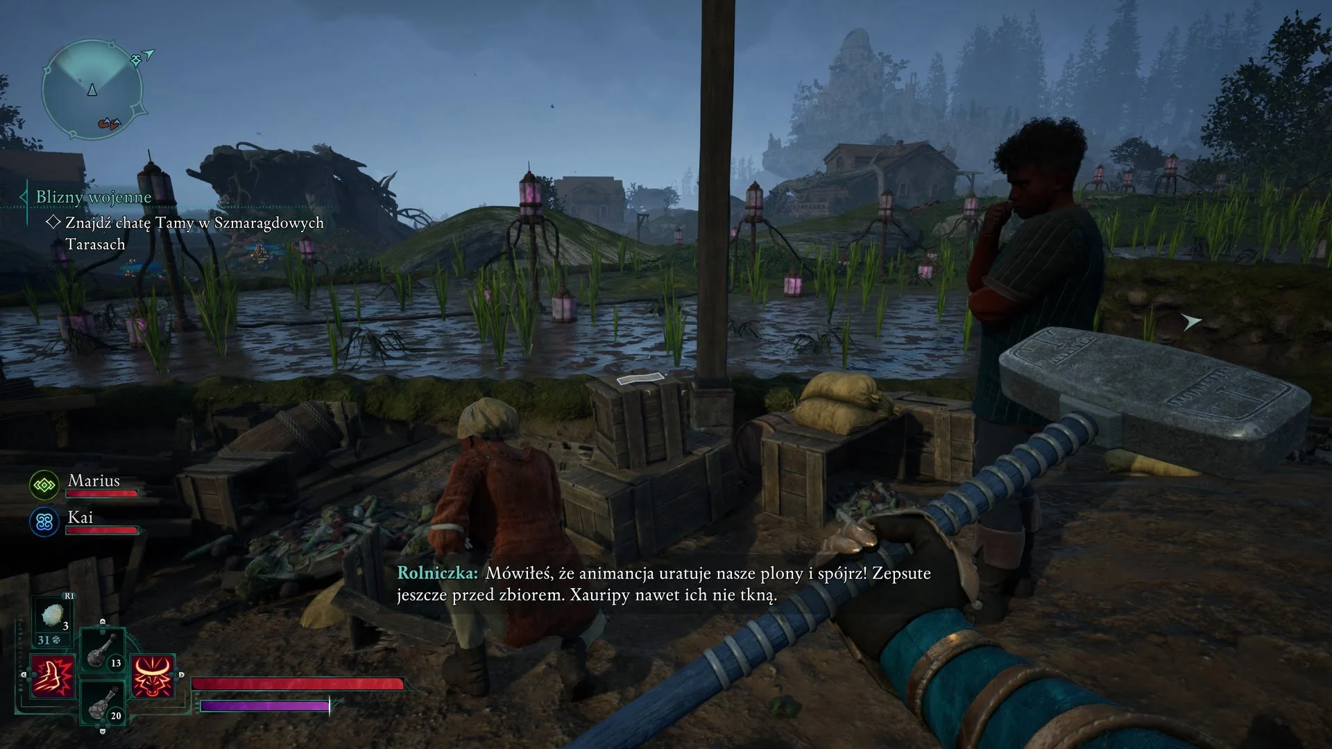 Avowed - pola ryżowe