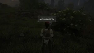 Wyszarzony ekran z gry, na środku napis "You are out of bounds. Returning to the Quest Area."