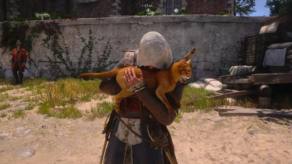 Assassin's Creed Black Flag Resynced
