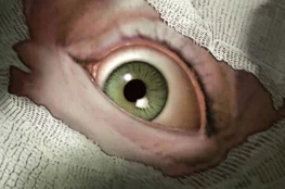Sanitarium Enhanced Pograne News