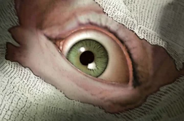 Sanitarium Enhanced Pograne News